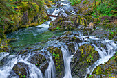USA, Oregon, Willamette National Forest, Opal Creek Scenic Recreation Area, mehrere kleine Wasserfälle und der schnell fließende Opal Creek mit den umgebenden alten Wäldern.