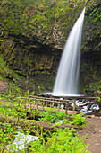 Oregon, Columbia River Gorge National Scenic Area, Upper Latourell Falls