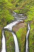 Oregon, Columbia River Gorge National Scenic Area, Triple Falls