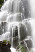 Oregon, Columbia River Gorge National Scenic Area, Fairy Falls