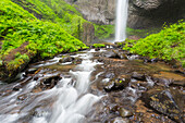 Oregon, Columbia River Gorge National Scenic Area, Latourell Creek und Wasserfälle