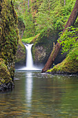 Oregon, Columbia River Gorge National Scenic Area, Punch Bowl Falls