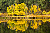 Autumn Reflections, Aspen Camp, Deschutes River, Deschutes National Forest, Oregon, Usa