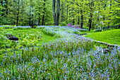 USA, Pennsylvania, Wayne, Chanticleer-Garten. Blühende Blumen im Frühlingsgarten
