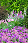 Longwood Gardens, Frühlingsblumen, Kennett Square, Pennsylvania, USA