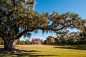 Mit Spanischem Moos bewachsener Baum und das Plantagenhaus Drayton Hall aus dem 18. Jahrhundert, Charleston, South Carolina.