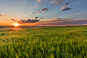 Sunset over prairie grasslands in Badlands National Park, South Dakota, USA (Large format sizes available)