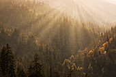 Frühlingssonnenuntergang vom Morton Overlook, Great Smoky Mountains, Nationalpark, Tennessee