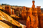 Bryce Canyon National Park, Utah. Line of Hoodoos stand on the canyon slope in shadows