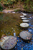 Otter Lake Creek stepping stones, Blue Ridge Parkway, Smoky Mountains, USA.