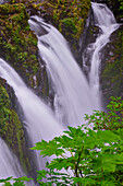 Sol Duc Fluss und Wasserfall, Olympic National Park, Washington State