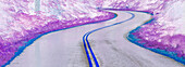 USA, Washington State, Olympic National Park. Panoramic abstract of curving park road