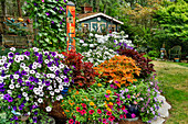Garten in voller Blüte mit Gartenhaus, Sammamish, Bundesstaat Washington