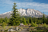 Bundesstaat Washington, Mount Saint Helens National Volcanic Monument, Mount Saint Helens, Blick von Süden
