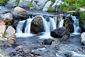Bundesstaat Washington, Mount Rainier National Park, Edith Creek