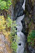 Bundesstaat Washington, Mount Rainier-Nationalpark. Cowlitz River im Box Canyon