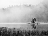 USA, Washington State. Alpine Lakes Wilderness, Snow Lake, island and fog.