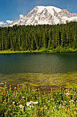 Mount Rainier und Reflection Lake, Mount Rainier-Nationalpark, Washington State, USA