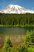 Mount Rainier und Reflection Lake, Mount Rainier-Nationalpark, Washington State, USA