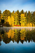 USA, Washington State, Cle Elum. Fall color by a pond in Central Washington.