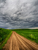 USA, Washington State, Palouse Country, Stormy Day Traveling through Country Backroad