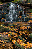 USA, West Virginia, Blackwater Falls State Park. Waterfall scenic