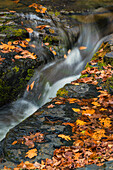 USA, West Virginia, Delaware Watergap Recreational Area (Erholungsgebiet). Landschaft des Wasserfalls Dingmans Falls