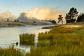Steaming mist at sunrise along Firehole River, Yellowstone National Park, Wyoming.