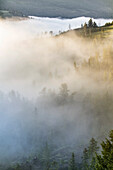 USA, Wyoming, Yellowstone National Park. Mist envelopes the Yellowstone River canyon near Tower Falls