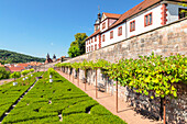 Wilhelmsburg Castle, Schmalkalden, Thuringian Forest, Thuringia, Germany, Europe