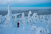 Luftaufnahme einer Frau beim Schneeschuhwandern im schneebedeckten Wald in der Dämmerung, Oulanka National Park, Ruka Kuusamo, Lappland, Finnland, Europa