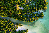 Luftaufnahme des üppigen Mangrovenwaldes in der tropischen Lagune, Pingwe, Chwaka Bay, Sansibar, Tansania, Ostafrika, Afrika