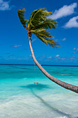 White sand PK-9 beach, Fakarava, Tuamotu archipelago, French Polynesia, South Pacific, Pacific