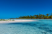 Blaue Lagune, Fakarava, Tuamotu-Inselgruppe, Französisch-Polynesien, Südpazifik, Pazifik