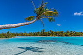 Blue lagoon, Fakarava, Tuamotu archipelago, French Polynesia, South Pacific, Pacific