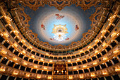 Logenplätze, Innenraum des Gran Teatro La Fenice, Venezia (Venedig), Venetien, Italien, Europa