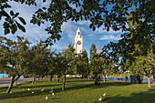 Clock Tower (Tour de l'Horloge), on the St. Lawrence River, Montreal, Quebec, Canada, North America