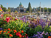 Inner Harbor, Victoria, Vancouver Island, Britisch-Kolumbien, Kanada, Nordamerika