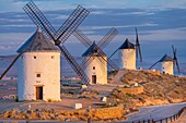 Windmühlen, Consuegra, Toledo, Kastilien-La Mancha, Spanien, Europa