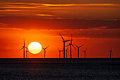 Offshore-Windpark mit herrlichem Sonnenuntergang, New Brighton, Cheshire, England, Vereinigtes Königreich, Europa