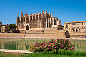 Kathedrale von Palma (La Seu), Palma de Mallorca, Mallorca (Mallorca), Balearische Inseln, Spanien, Mittelmeer, Europa
