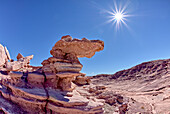 A hoodoo in Angels Garden at Petrified Forest, shaped like a dragon's head, Arizona, United States of America, North America