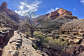 Die Klippen des Bright Angel Canyon im Grand Canyon vom Beginn des Garden Creek Canyon entlang des Bright Angel Trail aus gesehen, Grand Canyon National Park, UNESCO-Weltnaturerbe, Arizona, Vereinigte Staaten von Amerika, Nordamerika