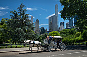 Pferdekutschenfahrt durch den Central Park mit der Skyline von New York City im Hintergrund, Central Park, Manhattan, New York, Vereinigte Staaten von Amerika, Nordamerika