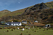 The Community and hamlet of Nant Peris, Llanberis Pass, Snowdonia National Park, Eryri, North Wales, United Kingdom, Europe