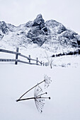 Winter conditions at Ersfjordstranda backed by Tebbeltuva mountain, Island of Senja, Troms og Finnmark County, Norway, Scandinavia, Europe