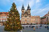 Weihnachtsbaum auf dem Altstädter Ring mit der Kirche Unserer Lieben Frau vor Tyn, UNESCO-Weltkulturerbe, Prager Altstadt, Prag, Tschechische Republik (Tschechien), Europa