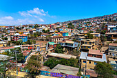 Colorful houses in town on sunny day, Cerro San Juan de Dios, Valparaiso, Chile, South America