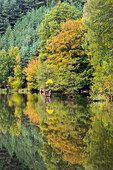 Idyllic shot of Kacirek pond during autumn, Kokorinsko, Central Bohemia, Czech Republic (Czechia), Europe