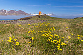 Leuchtturm Djupivogur, Ostisland, Island, Polarregionen